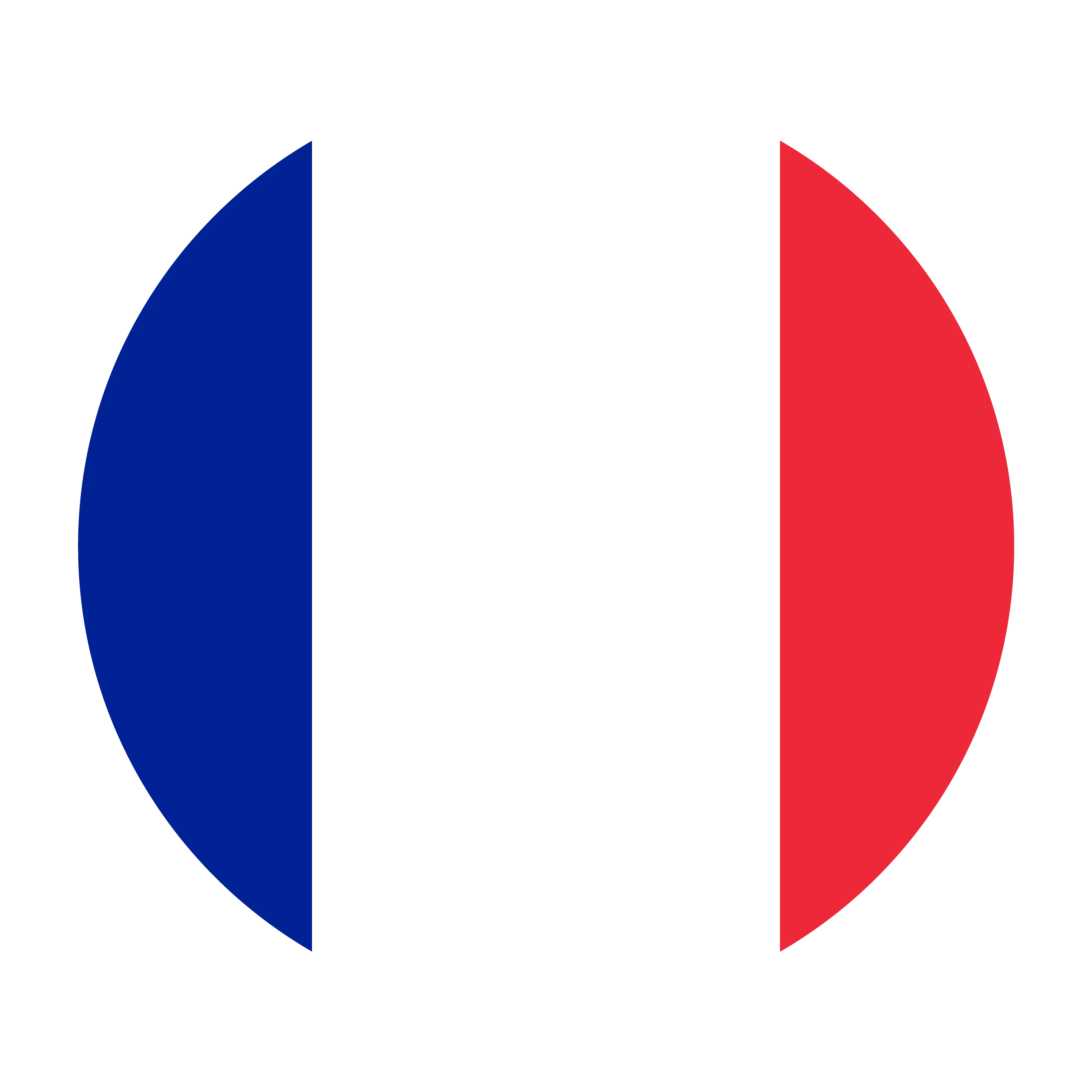 Flag of France