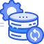 Anti-DDoS Protection